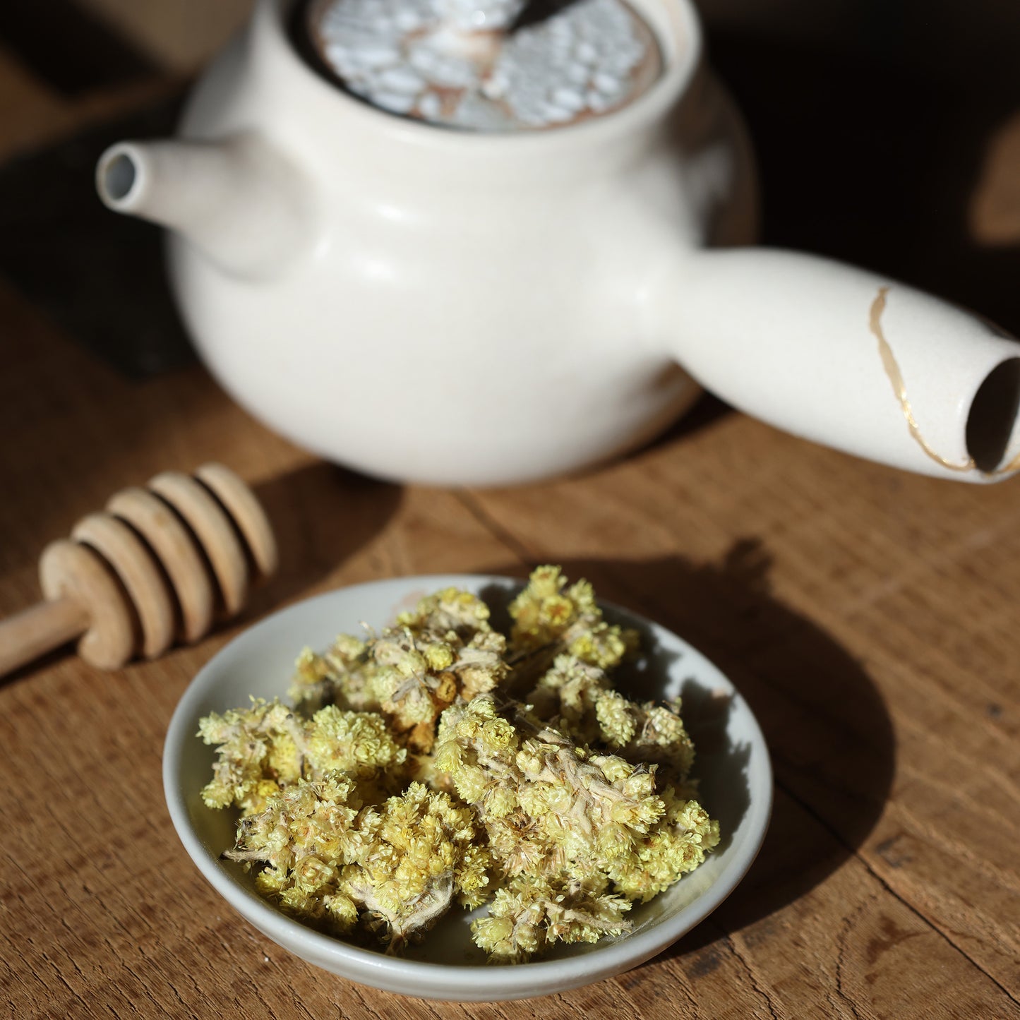 Helichrysum
