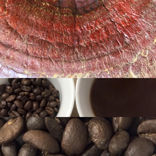 Reishi Mushroom & Yunnan Province Coffee