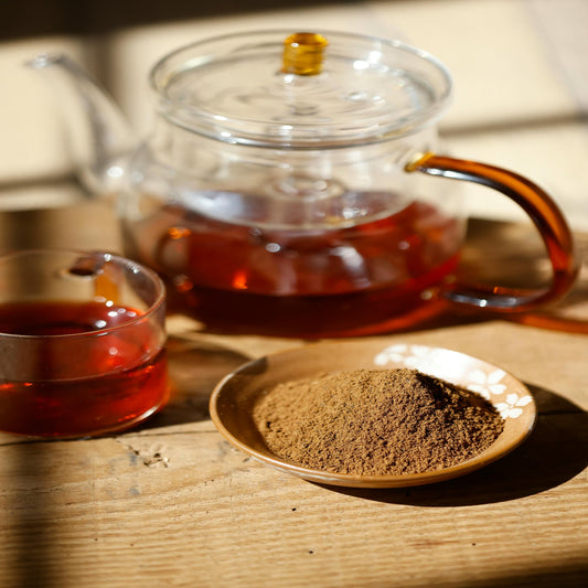 Chaga