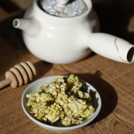 Helichrysum